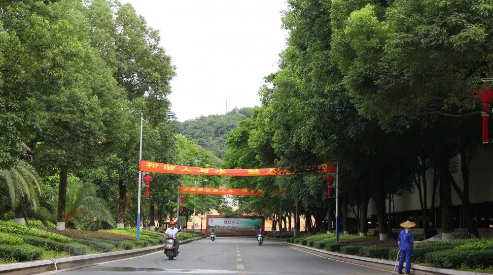 20200708156672 vsport(有限公司)官方网站 - 成功因您更杰出